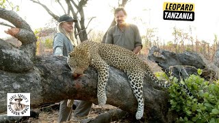 Hunting Dangerous Leopard in Tanzania