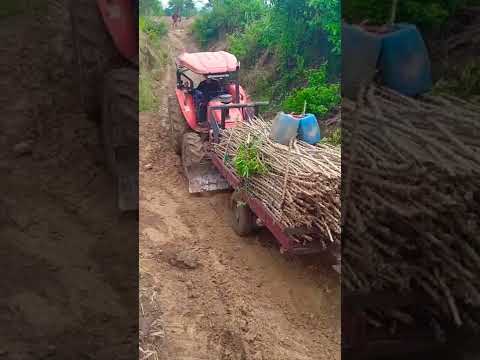 Kubota tractor ft Kubota Hand tractor ? Mremdai