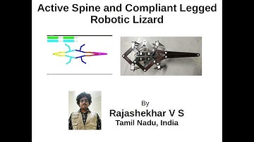 A Slow Moving Active Spine Controlled and Compliant Legged Robotic Lizard