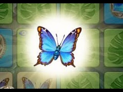 Butterfly Kyodai HD - Jogar de graça