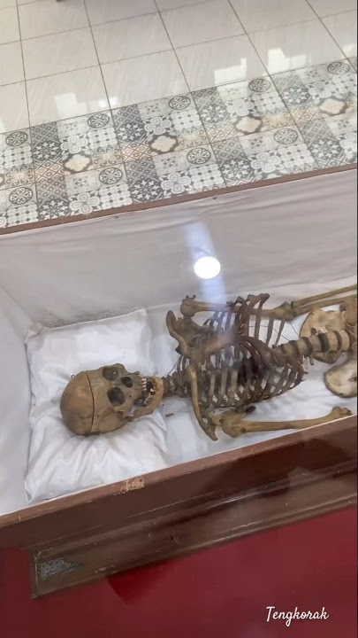 Tengkorak Asli di Purworejo Art Center