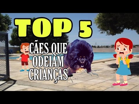 Vídeo: Mitos da pata: pontas da segurança para as patas do cão