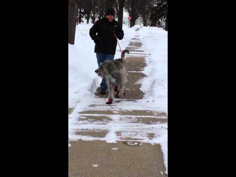 YouTube video