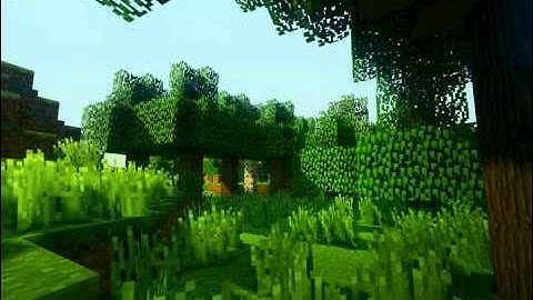 Minecraft: Sonic Ether