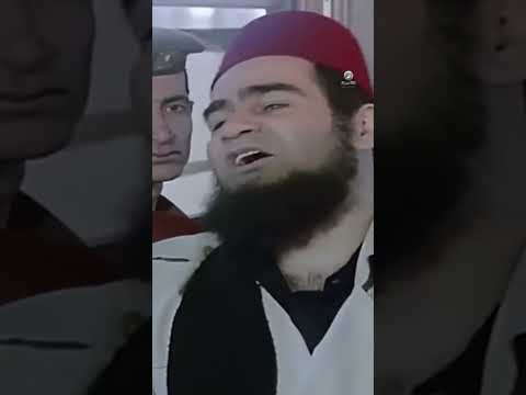 سيد زيان ضحك على القطر كله