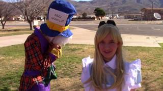 Alice and her Adventures in Algebra-land