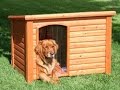 Будка для собаки правила и размеры / Будка для собаки теория /  Doghouse dog rules and dimensions