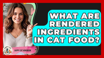 What Are Rendered Ingredients In Cat Food? - Happy Cat Handbook