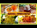 ОБЛЕПИХА-ЯГОДЫ, ЛИСТЬЯ... А ВЫ ЗНАЛИ??? УБЕДИТЕСЬ!!! #ТопБЛОГ