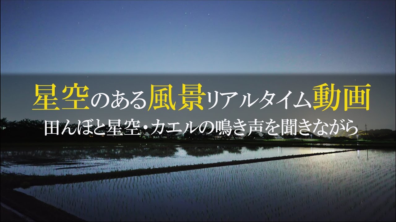 田んぼと星空 カエルの鳴き声を聞きながら Youtube