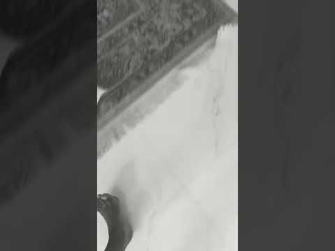 26 ديسمبر 2024