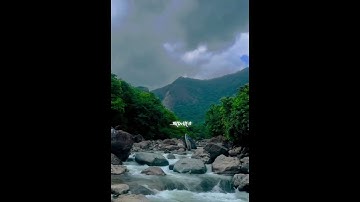 Je pothe prem cholte chai thame na se kono badhai ✨🤞bengali whatsapp video! short status.