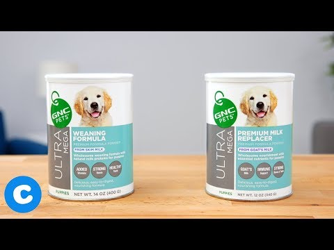 gnc-pets-puppy-nutrition