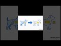 Revision - Lecture 36 - Python Classes and Objects | OOP in Python for Beginners to Advanced