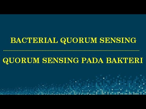 Video: Jenis molekul apa yang biasanya digunakan oleh bakteri untuk penginderaan kuorum?
