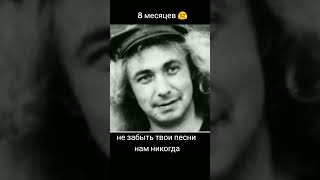 Уже 8 Месяцев 😢