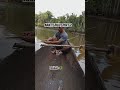 kali ini banyak buayany👀🐊 #shortsfeed #fishing #papua