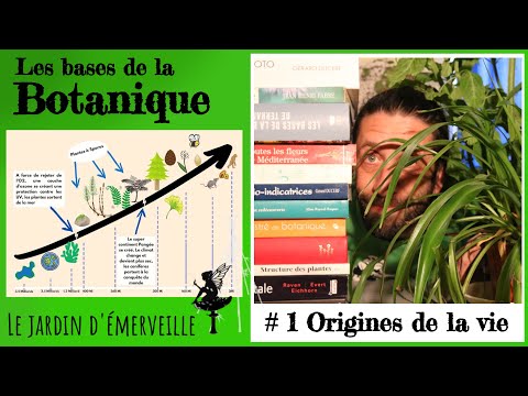 #1 Botanique - Les origines de la vie