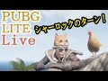 最後はシャーロックのターン！ PUBG LITE LIVE 2021年5月10日（水）MB-Supportの管理人