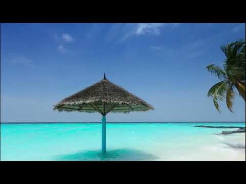 summer-nights---vlog---(-no-copyright-music)
