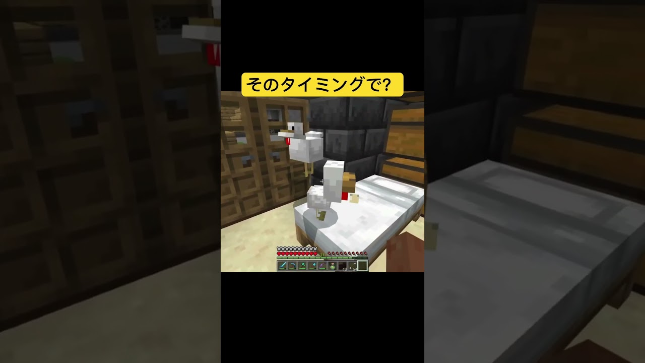 タマゴは投げるもの🥚　 #しったしょ実況MC2 #minecraft #マイクラ #マインクラフト実況