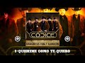 Códice - Charchetas, Tuba Acordeón (Disco Completo)