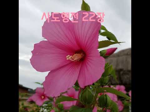 ผลสลากกินแบ่งรัฐบาล วันที่ 1 พย. 2567