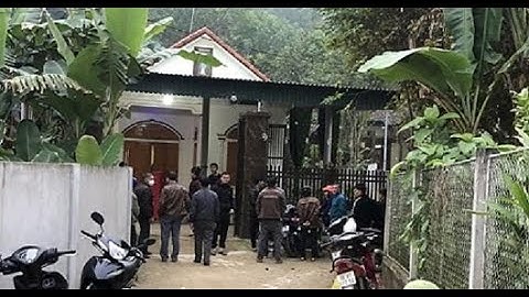 Dựng rạp đám cưới, chú rể bị cây đè tử vong thương tâm