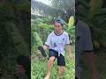 Trò đùa hài hước #funny #comedy #prank #phicoLv88 #haihuoc #trending #troll #giaitri