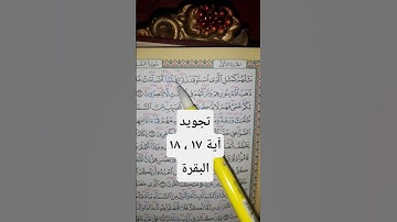 كيف نقرأ سورة البقرة #quran #اكسبلور #تيك_توك #المصحف #دويتو #الرحمن #لايك #راحة_نفسية #قرآن #تلاوة