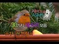 30가지 새소리 모음 1시간분량ㅣ백색소음 불면증 수면유도 자면서 틀어주세요[Korean ASMR]