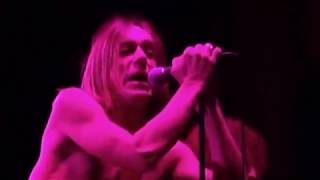 Iggy Pop Live at AB - Ancienne Belgique