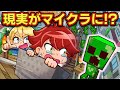 もしもマイクラの常識が現実だったら アニメ マンガ もしもマイクラの常識が現実だったら アニメ マンガ