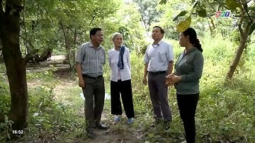 Người dân đồng thuận, đẩy nhanh tiến độ triển khai cao tốc Biên Hòa- Vũng Tàu | BRT TV