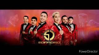 Son De Oro Pa Bailar Dj Fredi 2023