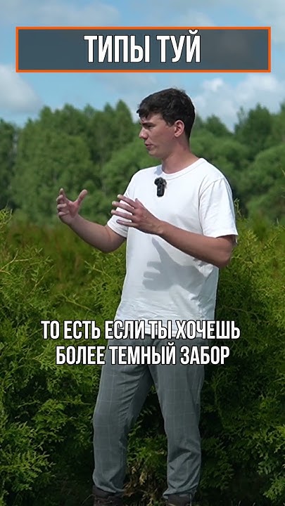 Какую Тую купить себе на участок? - YouTube
