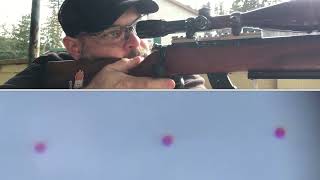 1/4in at 50y Avery dot challenge- 1957 Brno 4