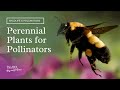 Perennial Plants for Pollinators by Tagawa Gardens