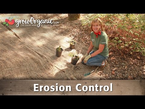 how-to-control-erosion