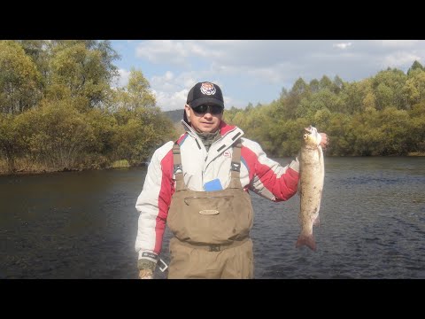 ТРОФЕЙНЫЙ ЛЕНОК ПОЙМАННЫЙ НА МУХУ!!! КРАСОТЫ РЕКИ ХОР!!!/Mountain fishing rivers Dalny Of the East.