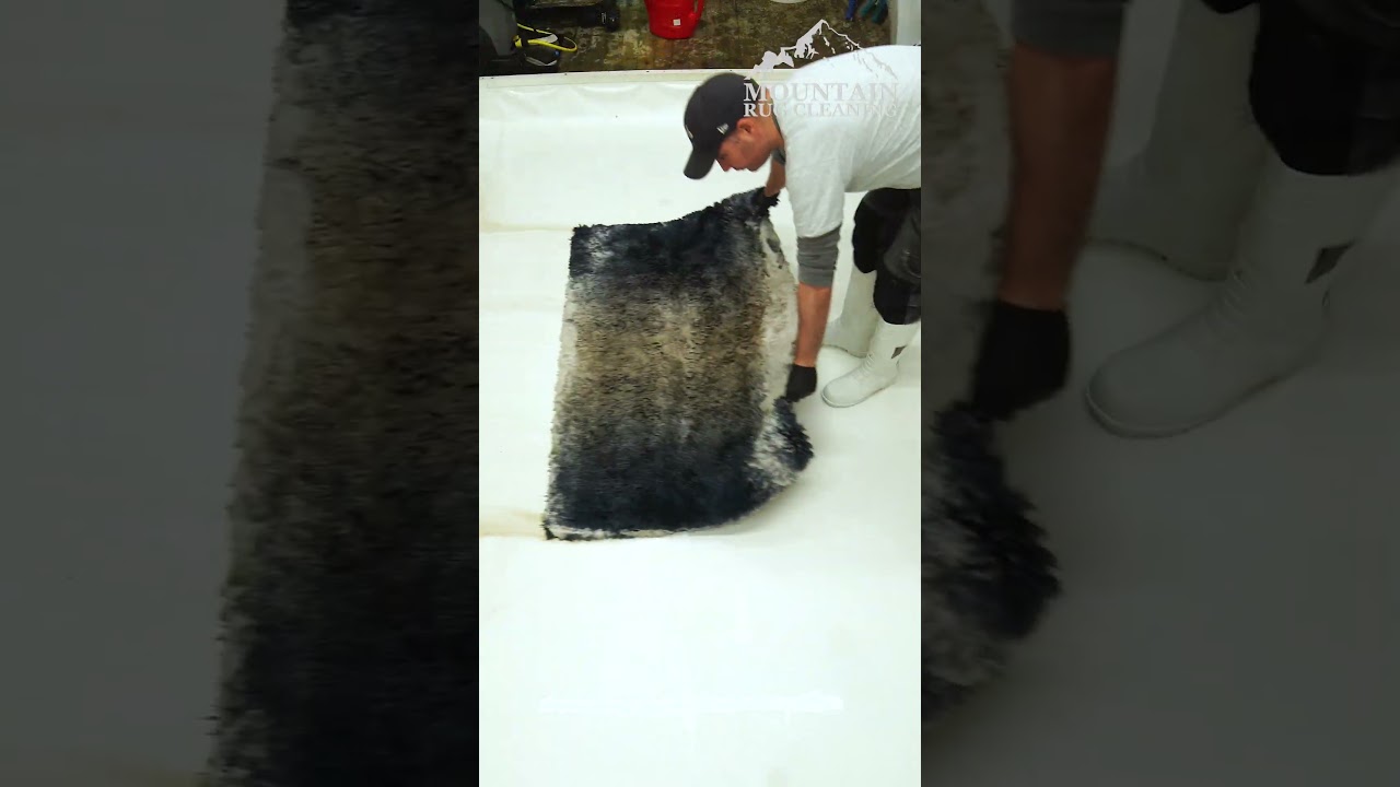 One Minute Of Wonder : Another AMAZING Transformation For All You Rug Cleaning Fans! #shorts