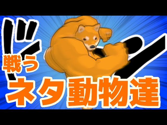 ネットでネタにされた動物の格闘ゲーム【Fight of Animals】 - YouTube