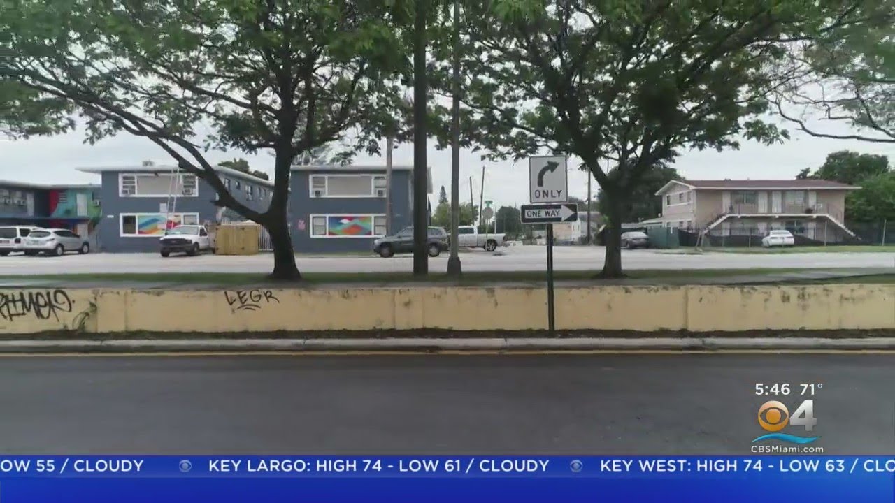 Segregation Walls Are A Reminder Of South Florida's Jim Crow Past