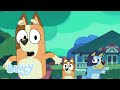 Magia   episodio completo  serie 3  bluey espaol canal oficial