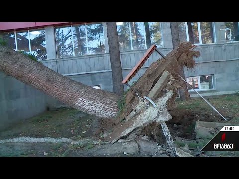 სტიქიის შედეგები კახეთში