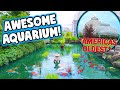 The Oldest Aquarium in North America has a KOI POND!