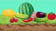 Yemek Tariflerinde Kullanılan Meyve ve Sebzelerin Faydaları ile ilgili video