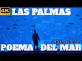 POEMA DEL MAR AQUARIUM FULL TOUR - LAS PALMAS - GRAN CANARIA 2021 4K