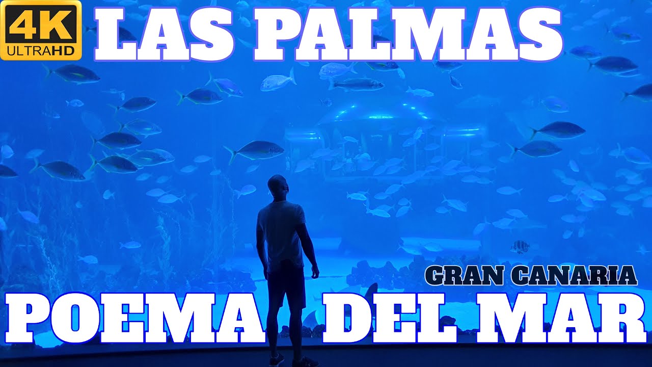 POEMA DEL MAR AQUARIUM FULL TOUR - LAS PALMAS - GRAN CANARIA - 4K
