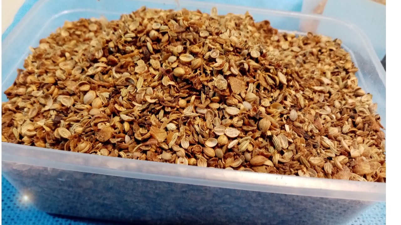 الفضخه للخمير الحضرمي